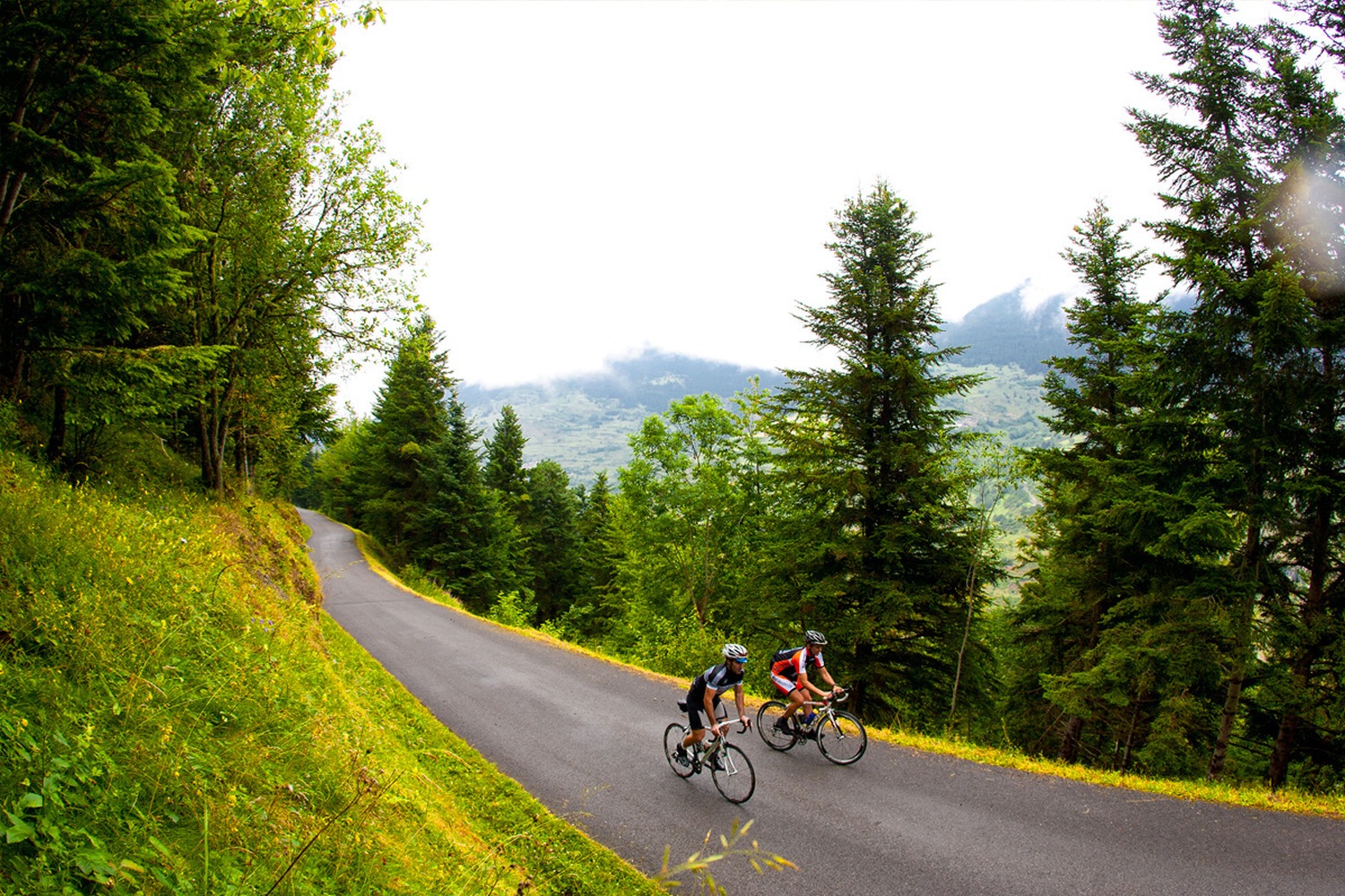 Two cyclists riding along road surrounded by trees, Catalonia